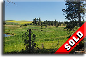 90 Acres near Spangle, Washington